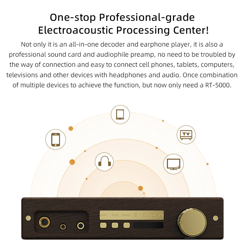 ROSE TECHNICS RT-5000 Integrated Headphone Amplifier and Decoder High Fidelity DAC